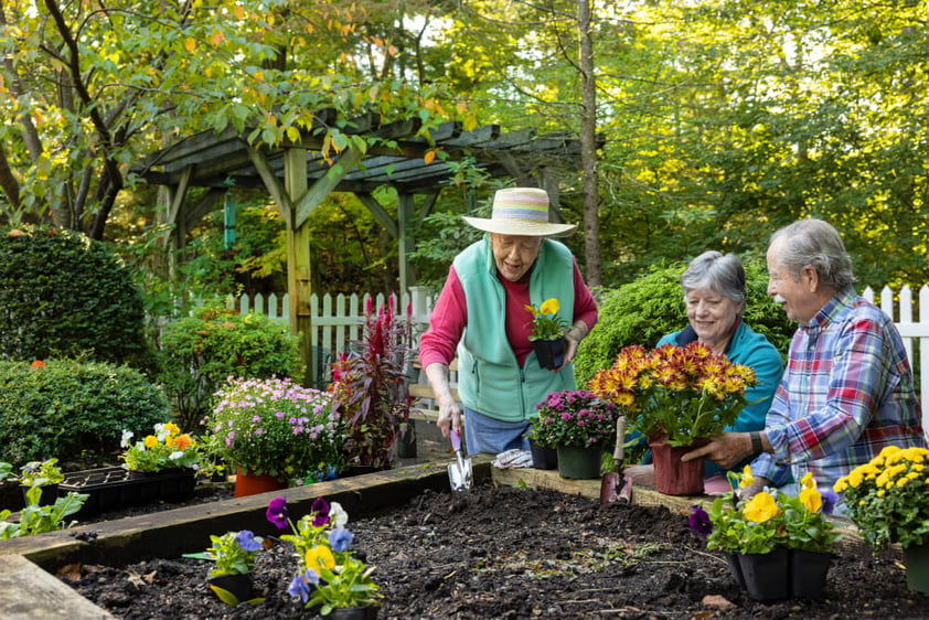 Three people gardening